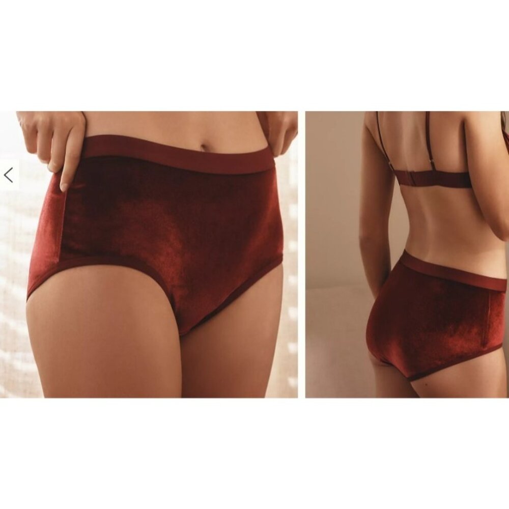 By Anthropologie Velvet Panty Briefs Underwear Sz XL Plum Retro Coquette NWT